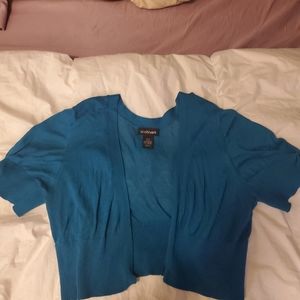 Lane Bryant Crop Sweater Top